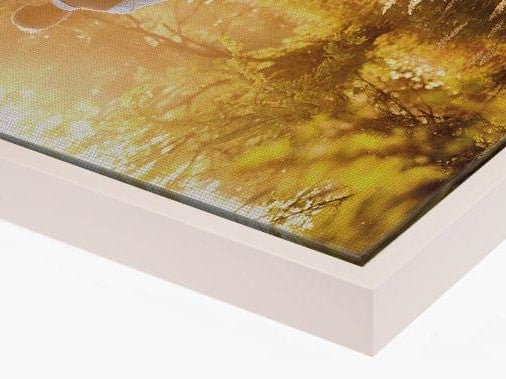 Leinwand 2 cm mit Premium Rahmen