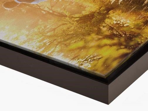 Leinwand 2 cm mit Premium Rahmen